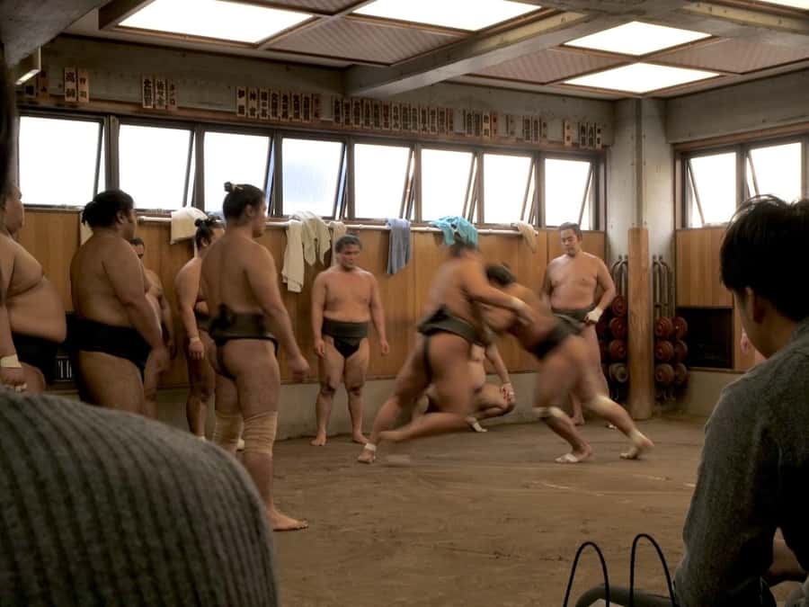 Tokyo: Sumo Practice Tour with Ring-Side Seat and Photoshoot - Watching the wrestlers train from close range