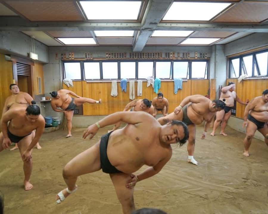 Tokyo: Sumo Practice Tour with Ring-Side Seat and Photoshoot - What the $96 price gets you