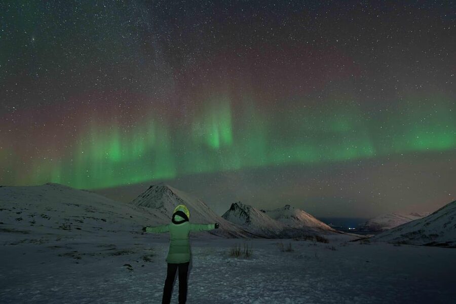 Tromsø: Aurora Tour with Photos, Campfire and Arctic Food - Should you book it?