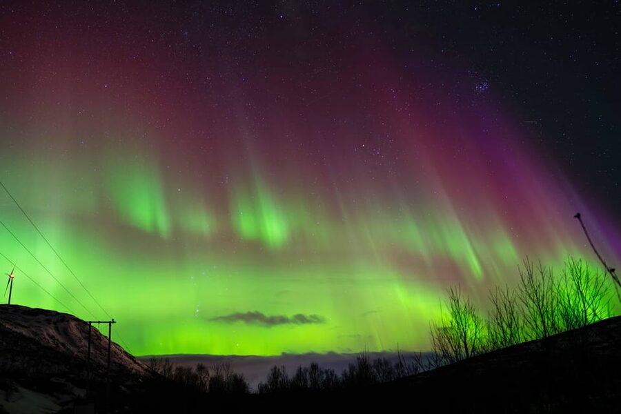 Tromsø: Aurora Tour with Photos, Campfire and Arctic Food - Waiting for the Green Lady