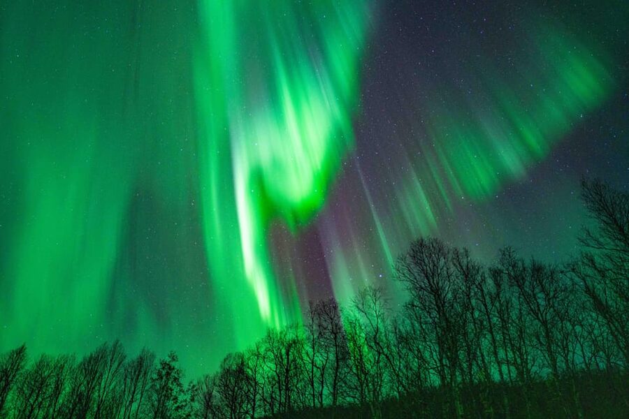 Tromsø: Aurora Tour with Photos, Campfire and Arctic Food - Who will enjoy this Tromsø Aurora tour?