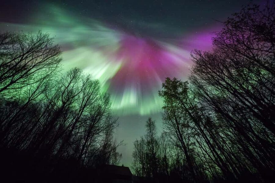 Tromsø: Northern Lights Chase + Free Professional Photos - The return to Tromsø after midnight