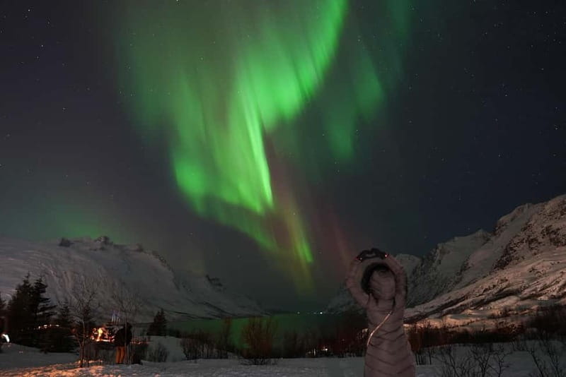 Tromsø: Northern Lights Chase with Local Guide & Free Photos - Finding the first viewpoint