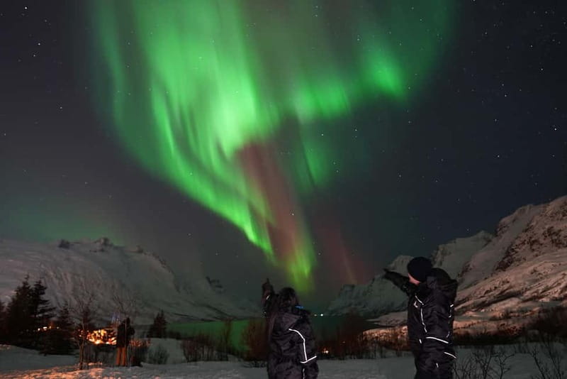 Tromsø: Northern Lights Chase with Local Guide & Free Photos - Is $136 a fair price?