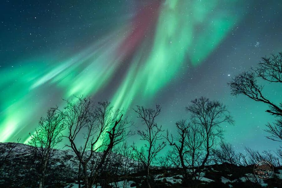 Tromsø: Northern Lights Photography Tour - Campfire food and cold-weather gear
