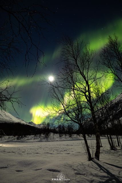 Tromso: Northern Lights Tour with Photographer - The return to Tromsø