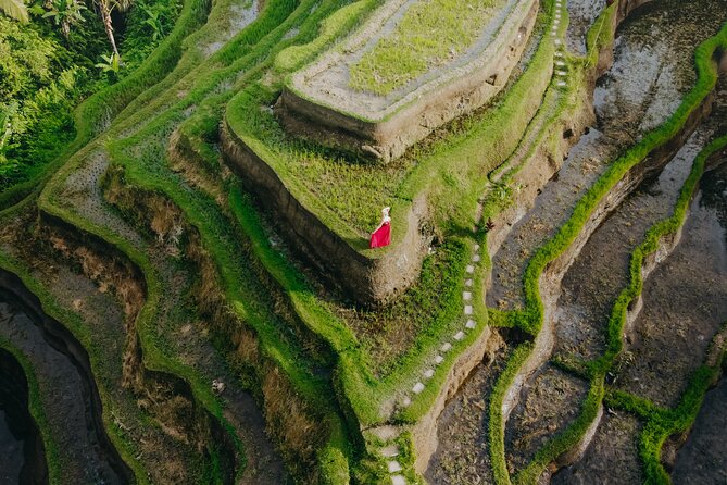 UBUD Instagram Spot Tour with Photographer - Photographing the Tegalalang rice terraces