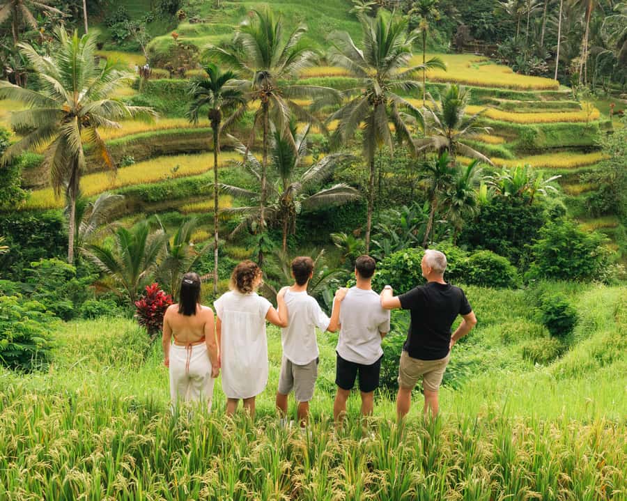 Ubud: Private Tour with Professional Photographer - Tegallalang Rice Terrace: the classic Ubud opening