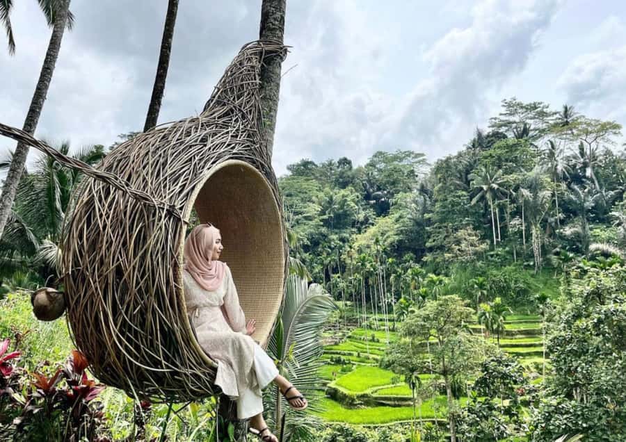Ubud: Tegalalang Rice Terrace Photos Tour with Swing Ticket - Coffee, tea, and optional stops