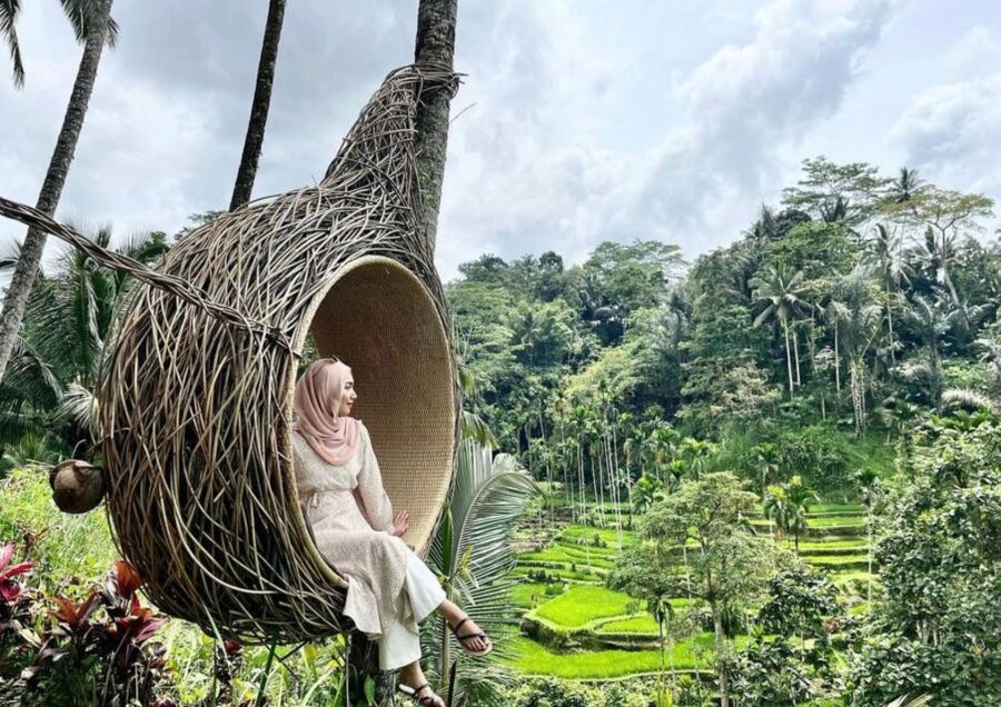Ubud: Tegalalang Rice Terrace Photos Tour with Swing Ticket - Hotel transfer or meeting at Kumulilir Cafe