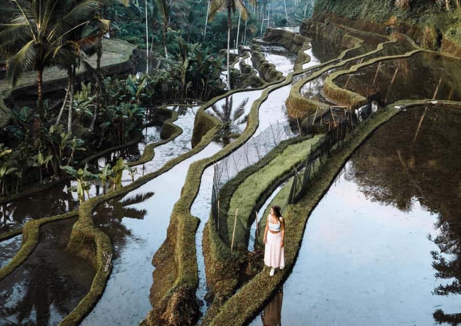 Ubud: Tegalalang Rice Terrace Photos Tour with Swing Ticket - Who should book this tour?