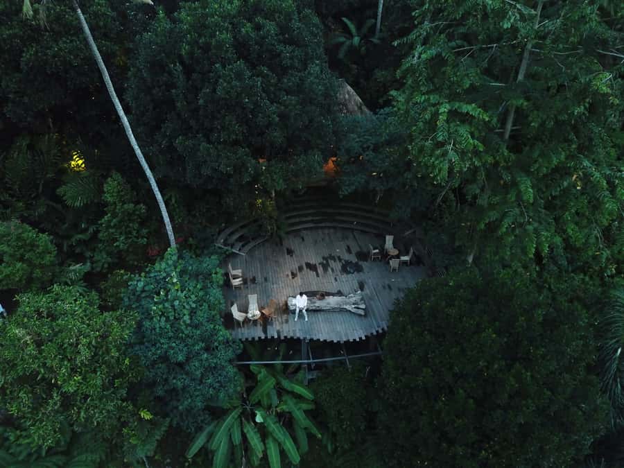 Ubud: Tegalalang Rice Terrace Photos Tour with Swing Ticket - The jungle swing: fun, views, and a few practical limits