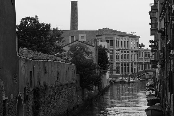 Venice Photography Walking Tour with Private Guide - Why the private format matters for families and couples