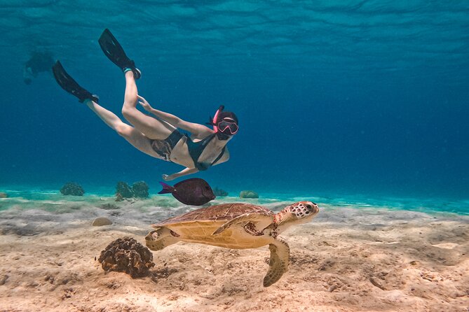 VIP Private Snorkeling Tour with Underwater Photos - Key reasons to consider this Bonaire snorkeling tour