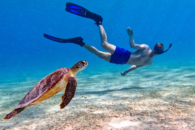 VIP Private Snorkeling Tour with Underwater Photos - What you may see in the water
