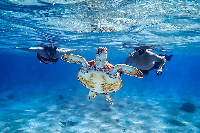 VIP Private Snorkeling Tour with Underwater Photos - Is $155 per person a fair price?