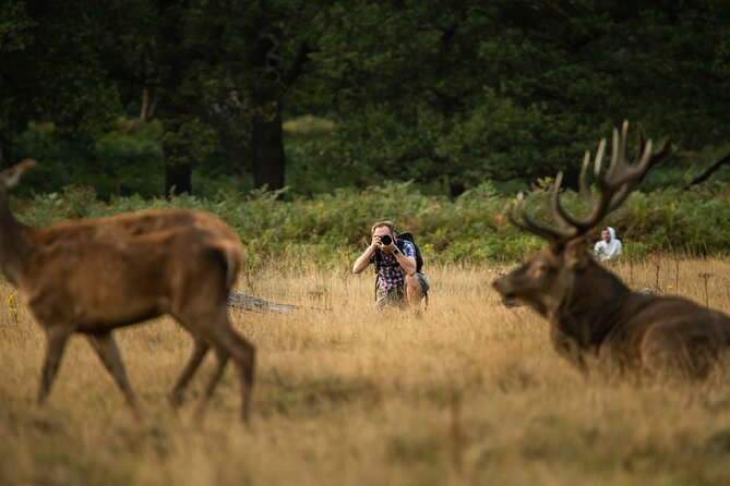 Wildlife Photography Workshop in Richmond Park in London - What happens during the three-hour session